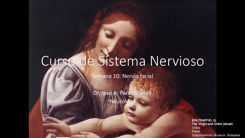 Miniatura del documento SN-2017-2-Semana-10-2-Nervio-facial-1.pdf