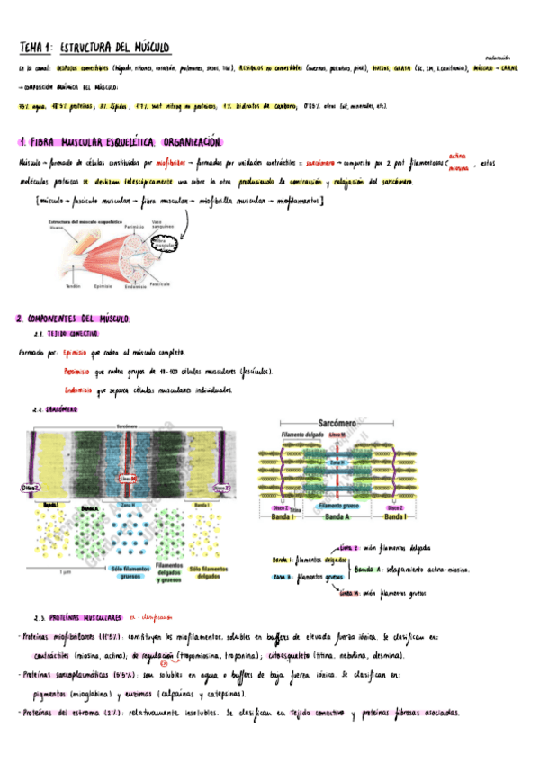 Miniatura del documento Tecno-II-Carne-1-y-2.pdf