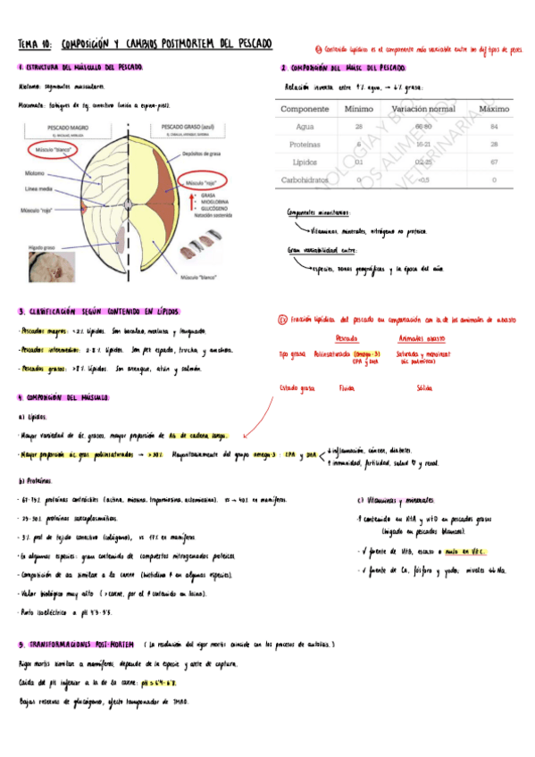 Miniatura del documento Tecno-II-Pescado-10-13.pdf