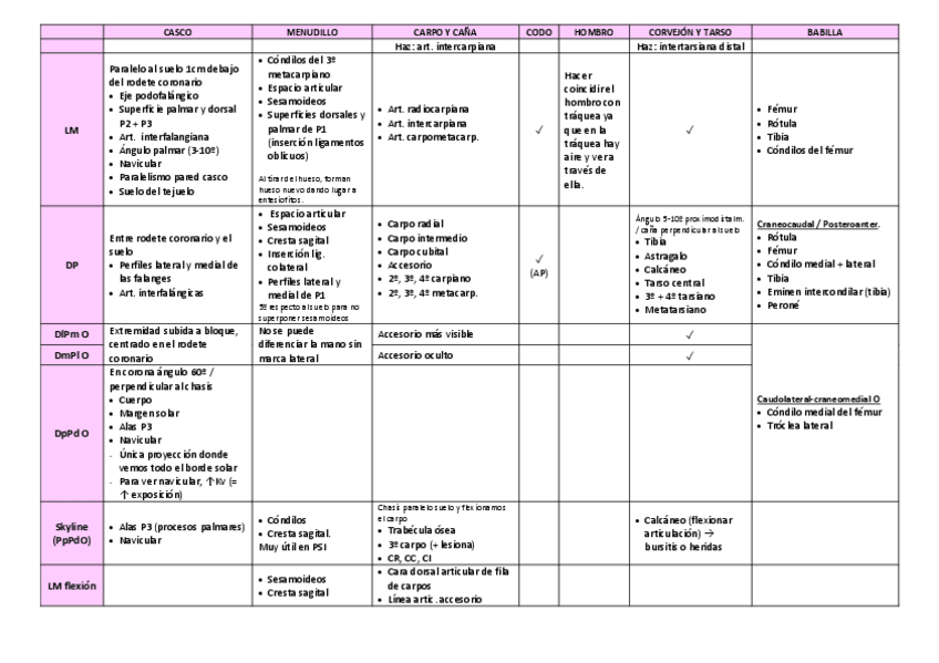Miniatura del documento RX-EXTREMIDADES-EQ.pdf