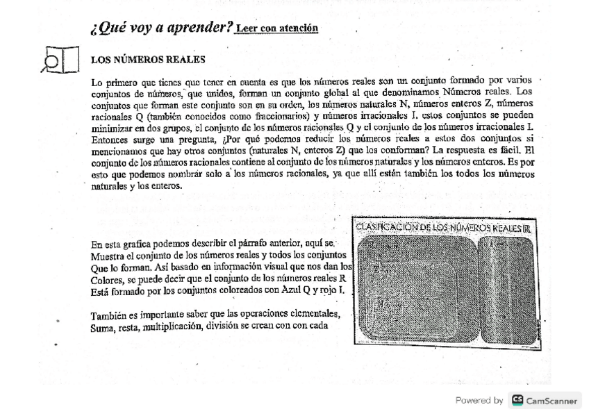Miniatura del documento los-numeros-reales.pdf
