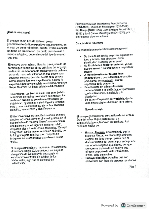 Miniatura del documento el-ensayo.pdf