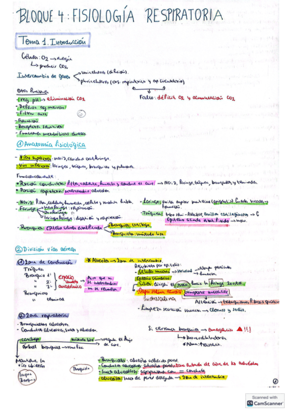 Miniatura del documento Bloque-respiratorio.pdf