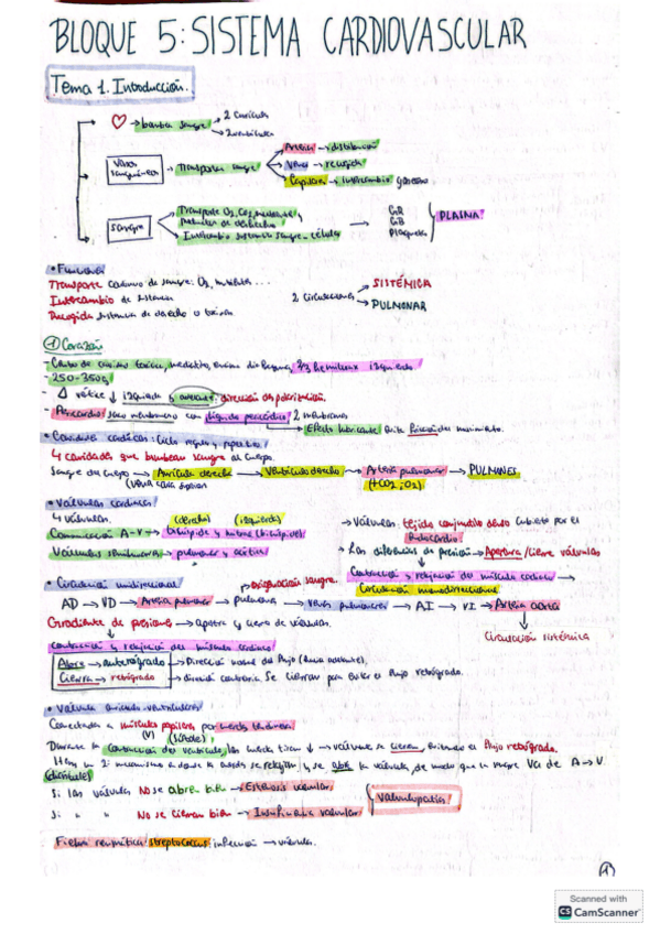 Miniatura del documento Bloque-cardio.pdf