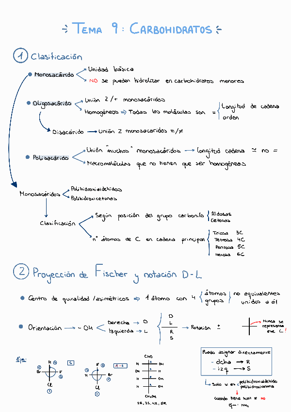 Miniatura del documento Tema-9-Carbohidratos.pdf