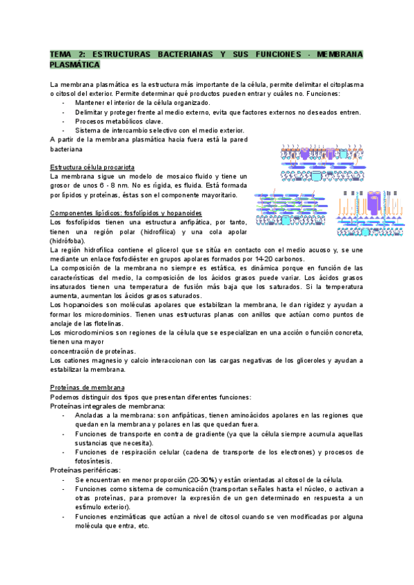 Miniatura del documento Tema-2-en-castellano.pdf