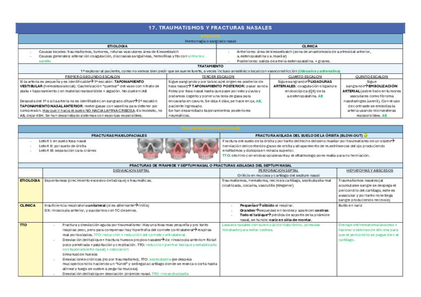 Miniatura del documento 17.-TRAUMATISMOS-Y-FRACTURAS-NASALES.pdf