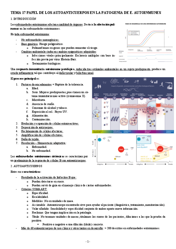 Miniatura del documento INMUNOPATOLOGIA-TEMA-17-PAPEL-DE-LOS-AUTOANTICUERPOS-EN-LA-PATOGENIA-DE-E.-AUTOINMUNES.pdf