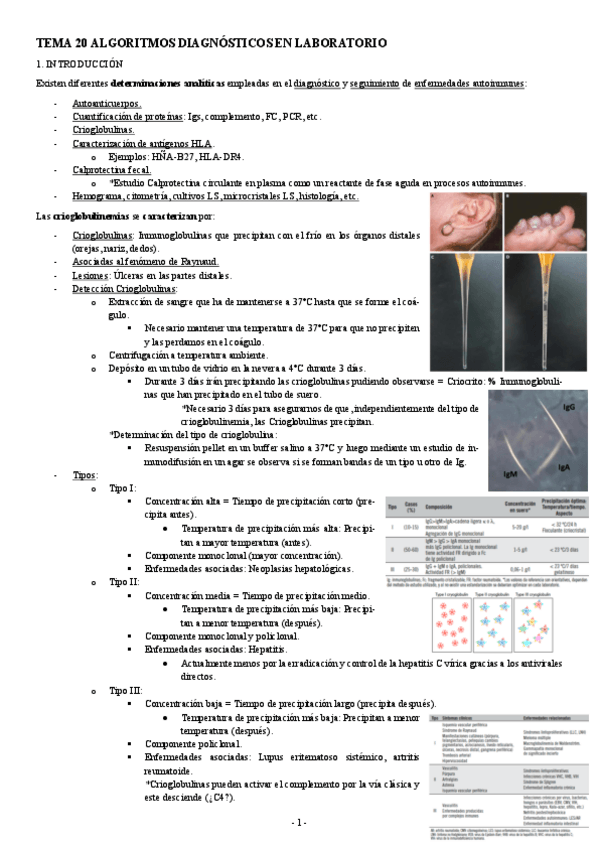 Miniatura del documento INMUNOPATOLOGIA-TEMA-20-ALGORITMOS-DIAGNOSTICOS-EN-LABORATORIO.pdf