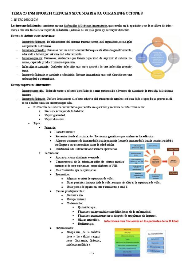 Miniatura del documento INMUNOPATOLOGIA-TEMA-23-INMUNODEFICIENCIAS-SECUNDARIAS-A-OTRAS-INFECCIONES.pdf
