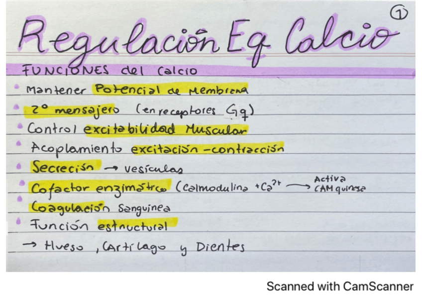 Miniatura del documento Equilibrio-de-Calcio.pdf