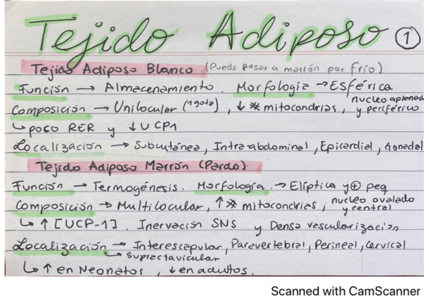 Miniatura del documento tejido-adiposo.pdf