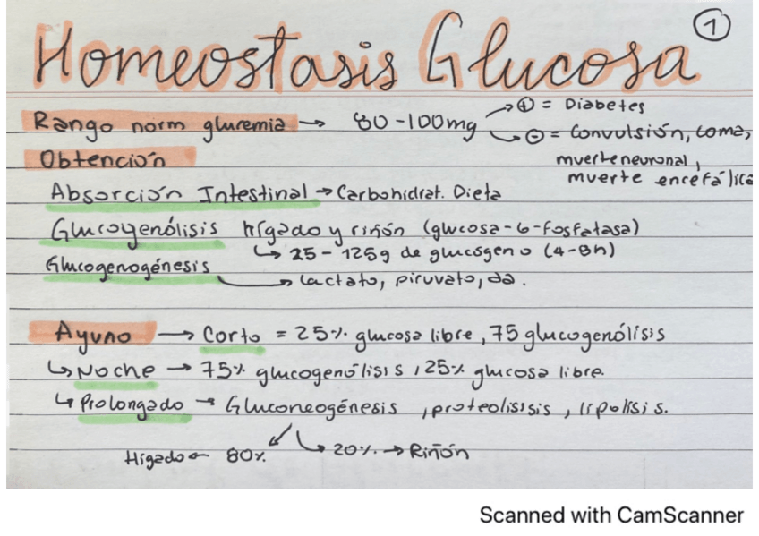 Miniatura del documento homeostasis-glucosa.pdf