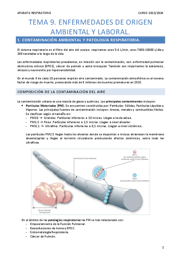 Miniatura del documento Resumen-Contaminacion-y-Profesionales.pdf