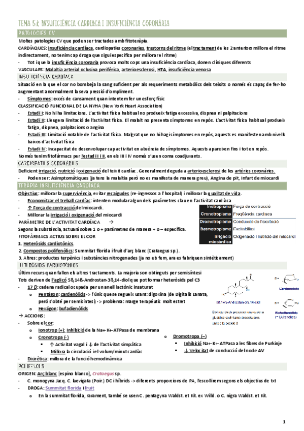 Miniatura del documento Fitoterapia-Tema-5.1-Insuficiencia-cardiaca-i-coronaria.pdf