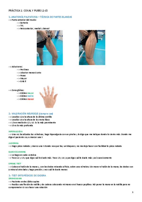 Miniatura del documento PRACTICA-1.pdf