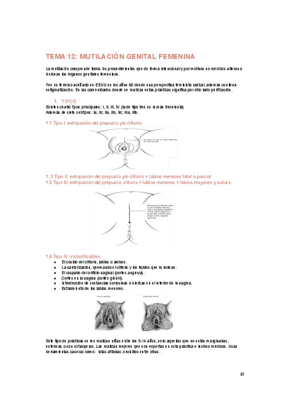 Miniatura del documento tema-12.pdf
