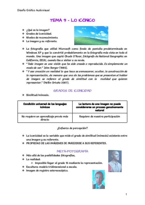 Miniatura del documento DISENO-GRAFICO-TEMA-9.pdf