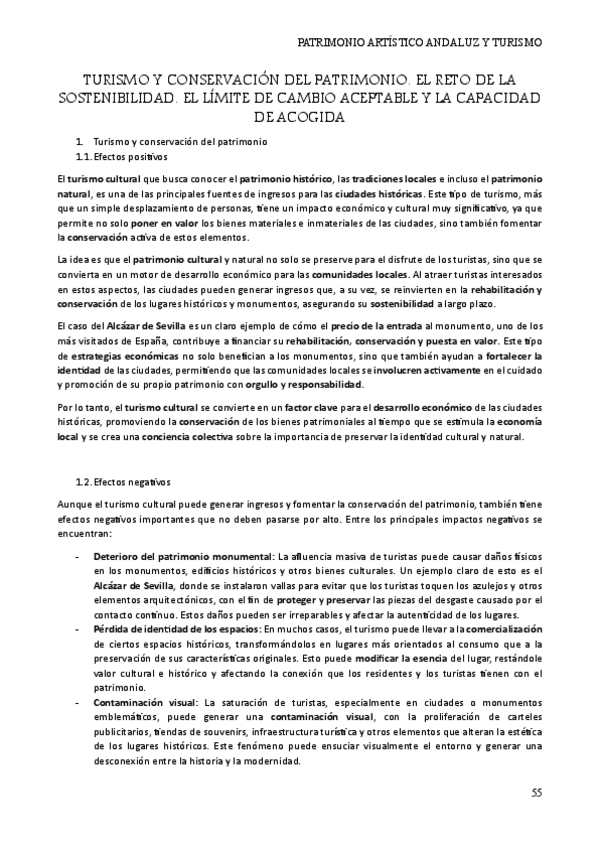 Miniatura del documento Tema-10.-Turismo-y-conservacion-del-patrimonio.pdf