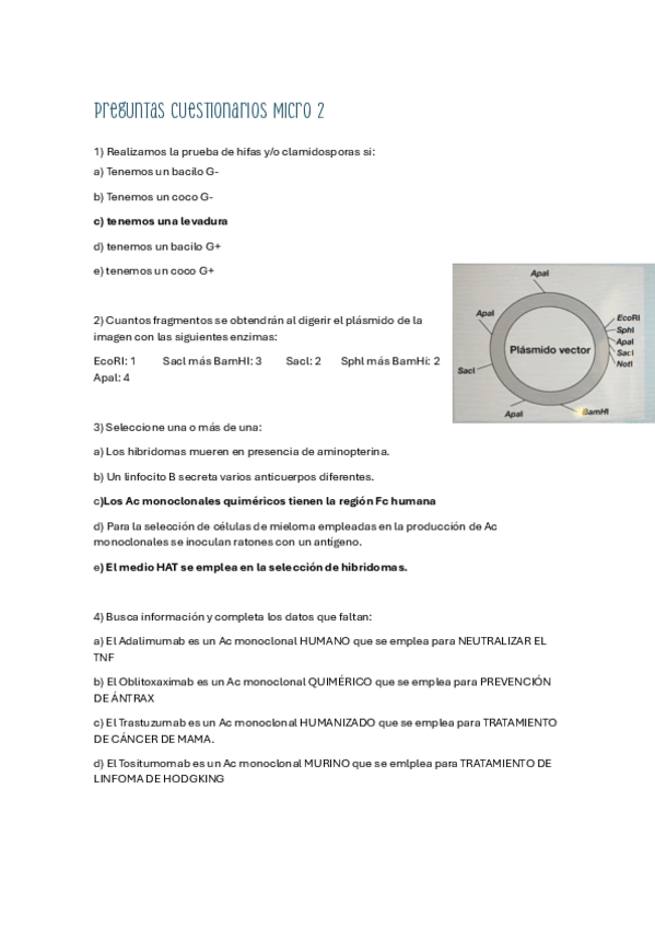Miniatura del documento PREGUNTAS-CUESTIONARIOS.pdf