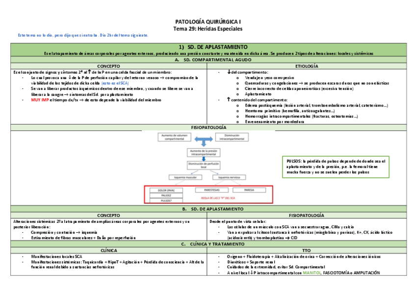 Miniatura del documento Tema-29-Heridas-Especiales-TABLA.pdf