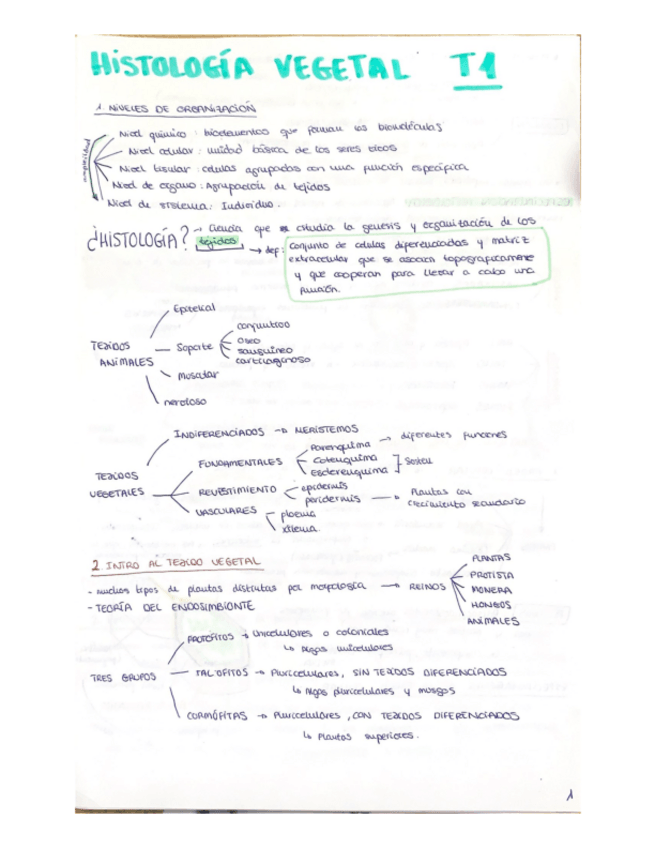 Miniatura del documento Tema-1.pdf
