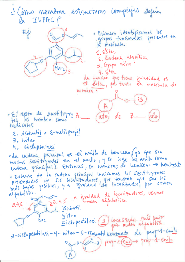 Miniatura del documento Estructura-1.pdf