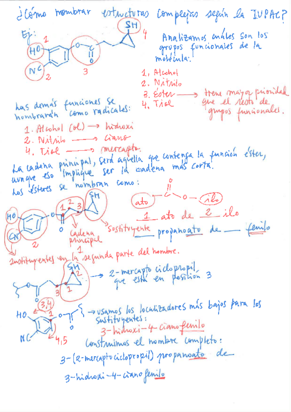 Miniatura del documento Estructura-7.pdf