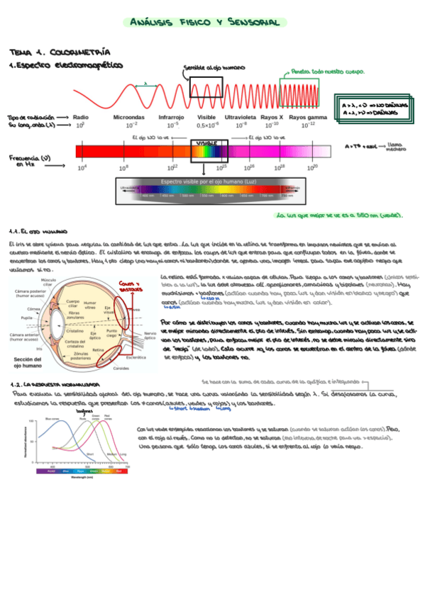 Miniatura del documento Apuntes-AFS.pdf