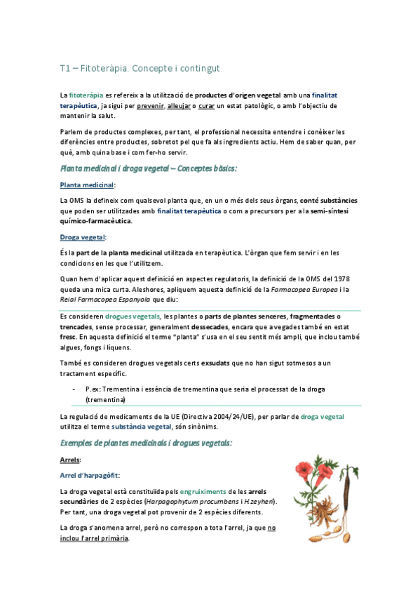 Miniatura del documento TOT-Bloc-1.pdf