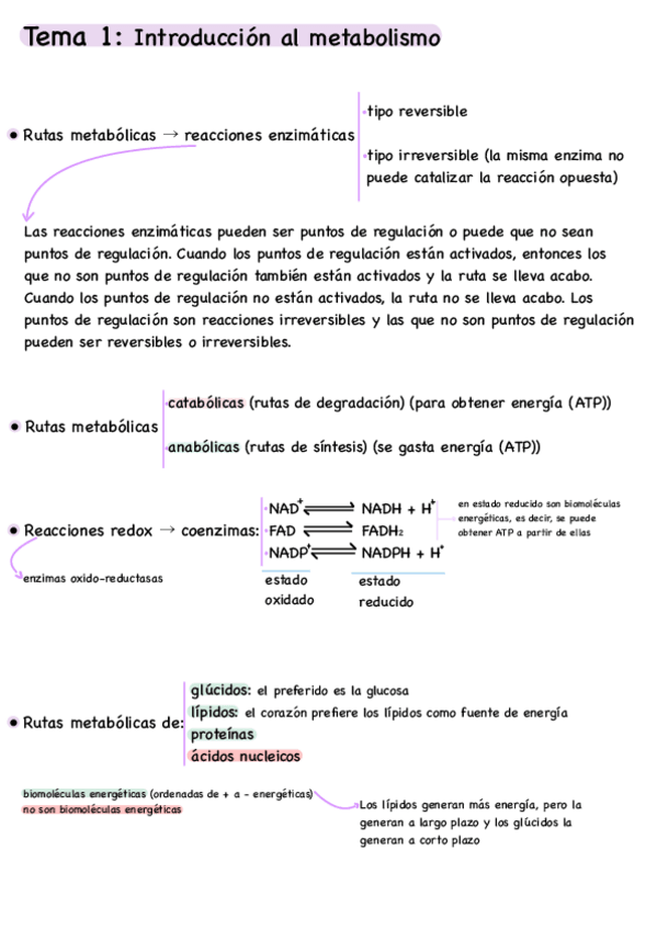 Miniatura del documento metabolica-primer-parcial.pdf
