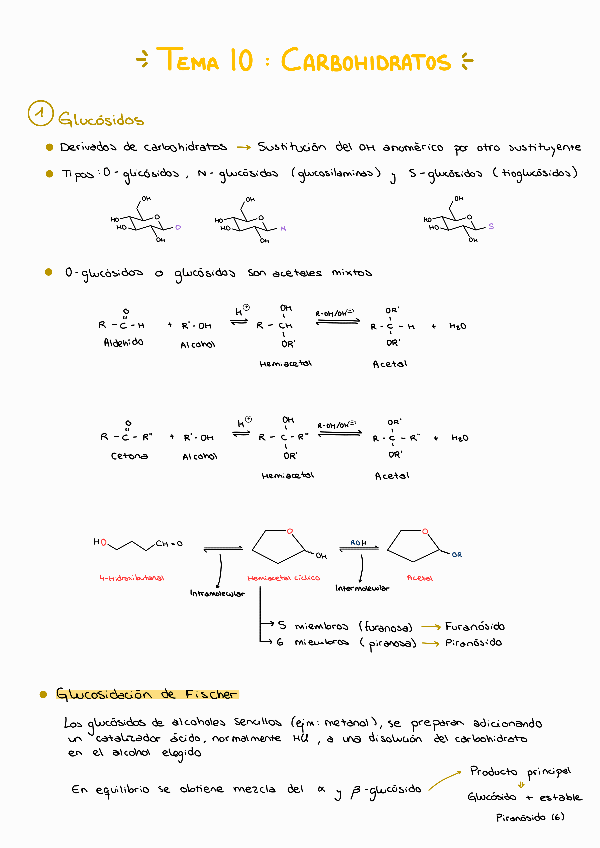 Miniatura del documento Tema-10-Carbohidratos 2.pdf