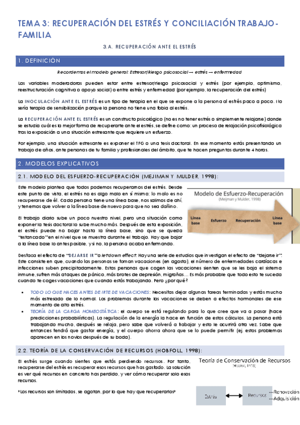 Miniatura del documento Tema-3-Riesgos.pdf