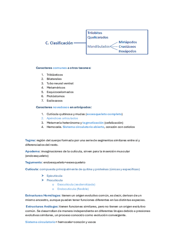 Miniatura del documento preguntas-examen-artropodos-mariajo.pdf