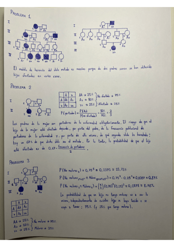 Miniatura del documento Problemas resueltos.pdf