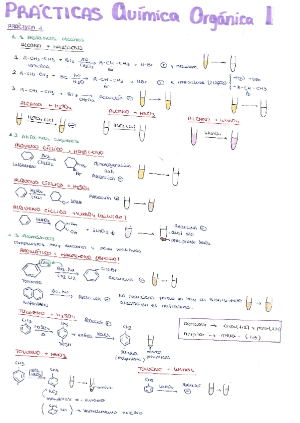 Miniatura del documento Resumen-Practicas-Quimica-Organica-I.pdf