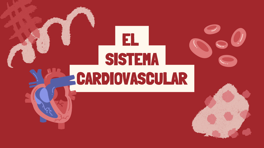 Miniatura del documento Sistema-circulatorio.pdf