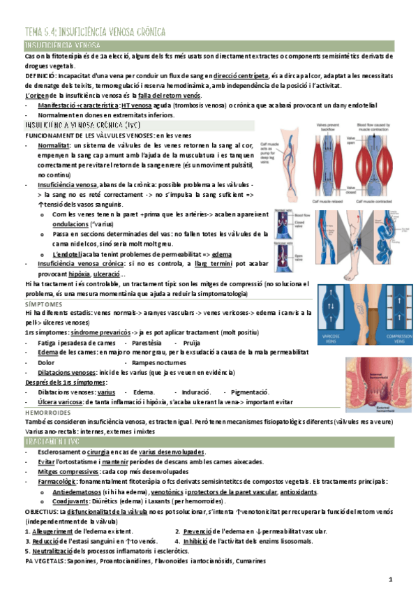 Miniatura del documento Fitoterapia-Tema-5.4-Insuficiencia-venosa-cronica.pdf