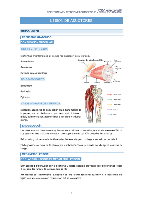 Miniatura del documento LESION-DE-ADUCTORES.pdf