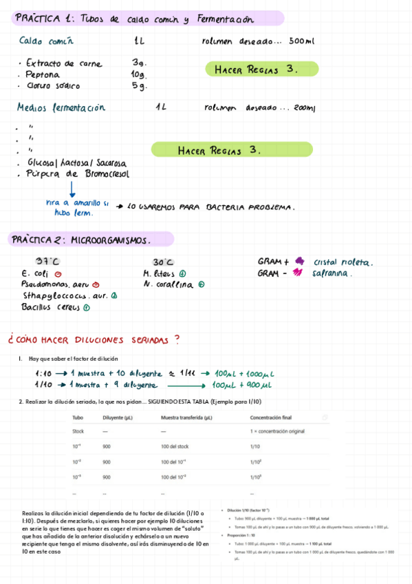 Miniatura del documento PRACTICAS-ESQUEMA-RESUMEN.pdf