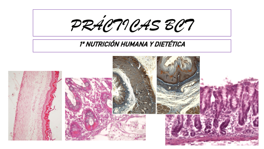 Miniatura del documento Estudiar-practicas-TODO-LO-DEL-EXAMEN.pdf