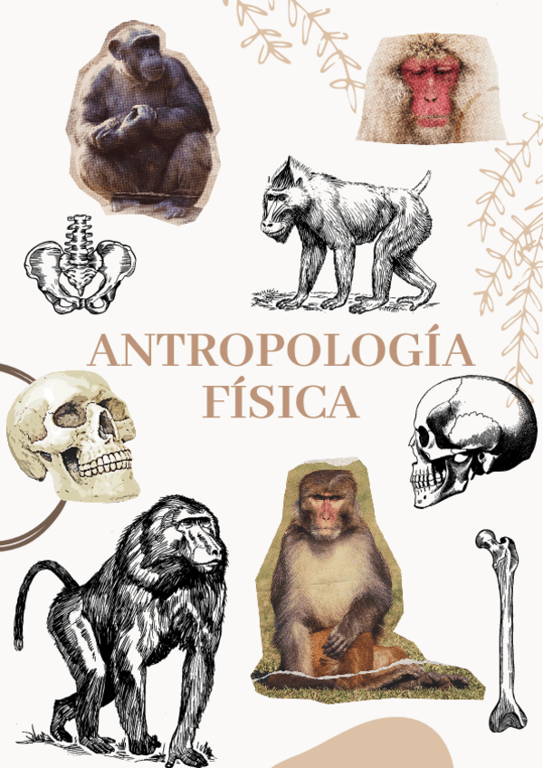 Miniatura del documento apuntes-antro-completos-1.pdf