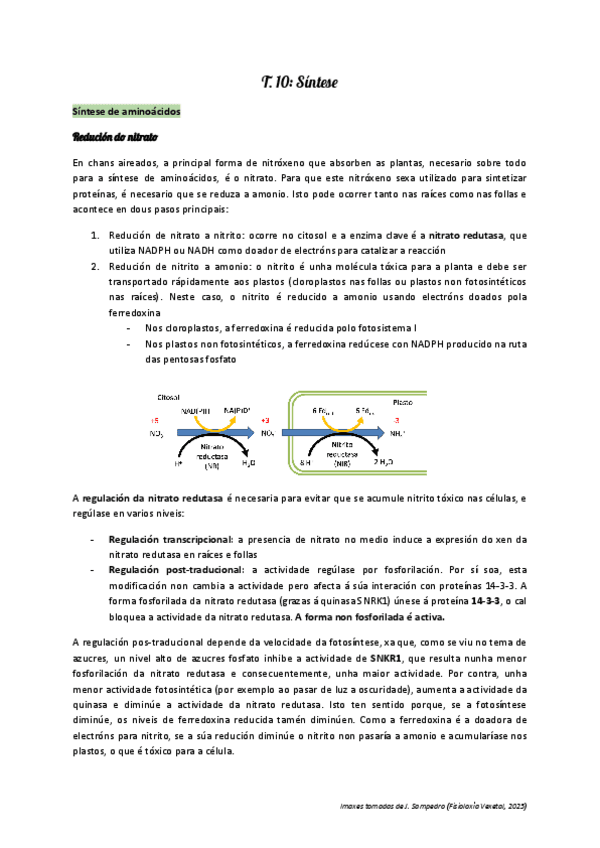 Miniatura del documento fv-t10-2025-fotos.pdf