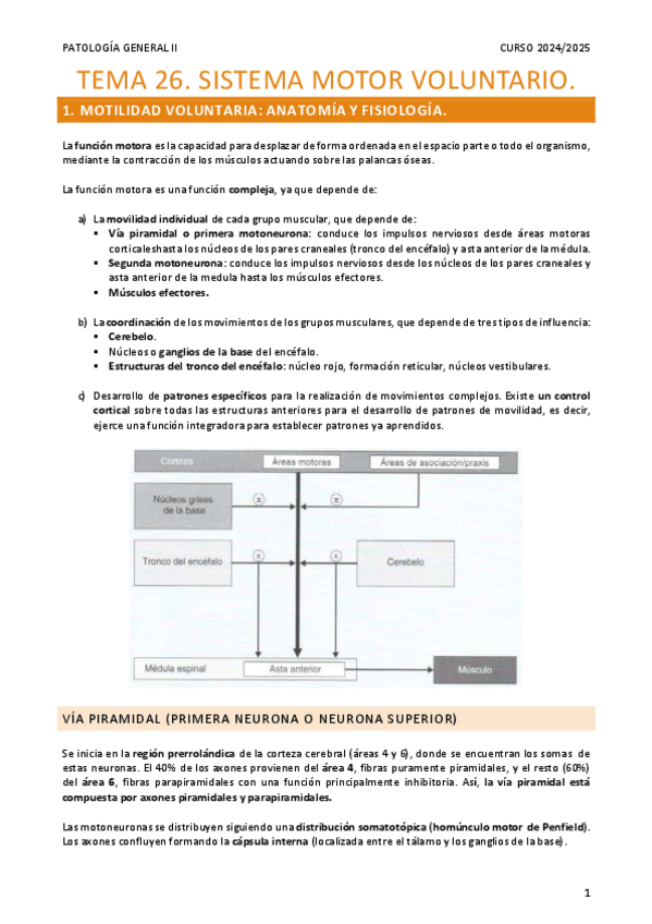 Miniatura del documento Resumen-Tema-26.-Sistema-Motor.pdf