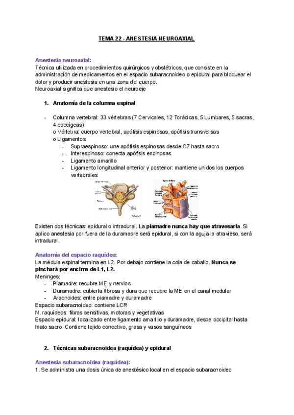 Miniatura del documento TEMA-22-ANESTESIA-NEUROAXIAL.pdf