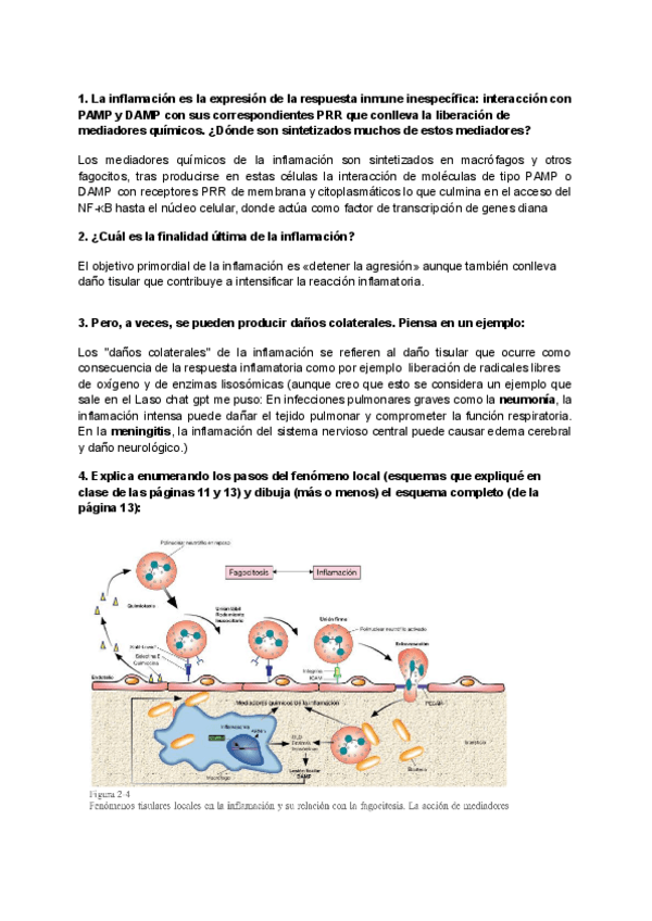 Miniatura del documento Pregunta-vidal-2.pdf