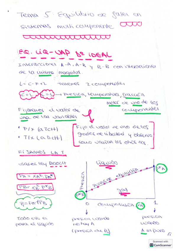 Miniatura del documento APUNTS TEMA 5.pdf