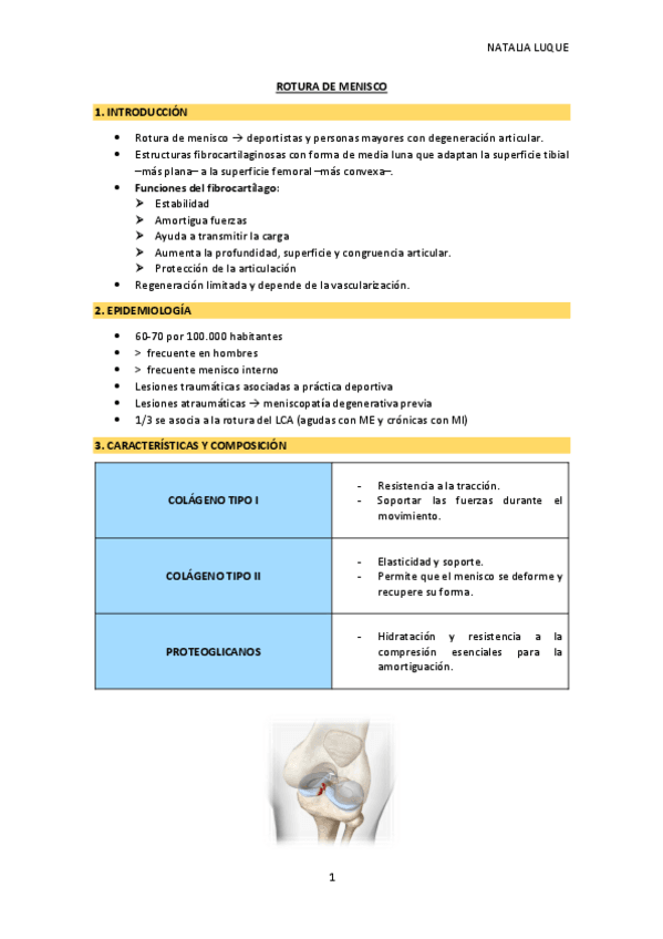 Miniatura del documento ROTURA-DE-MENISCO.pdf