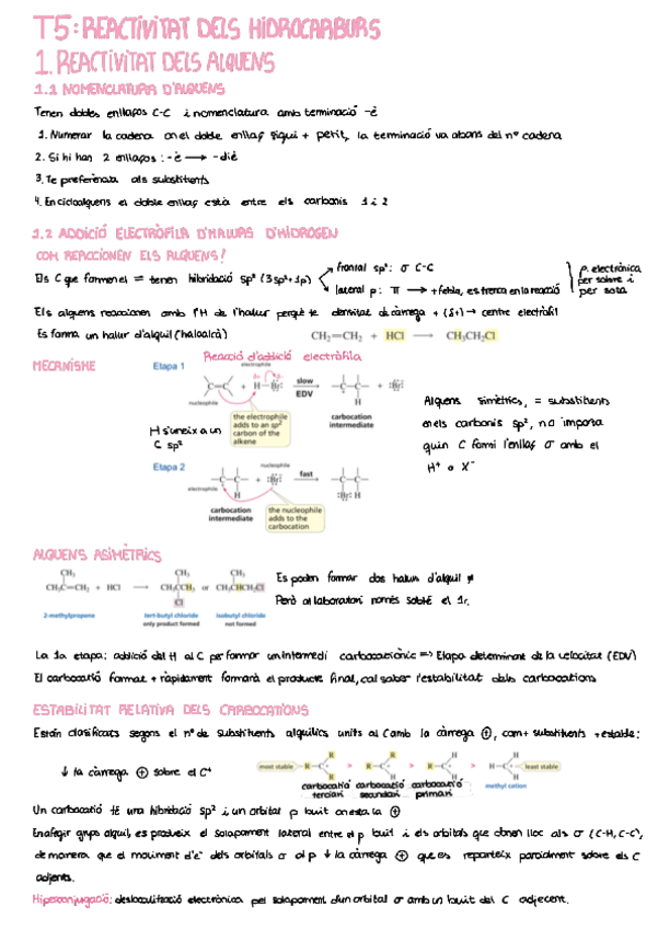 Miniatura del documento Apuntes-T5.pdf