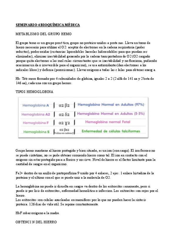 Miniatura del documento Metabolismo-grupo-hemo-seminario-4.pdf